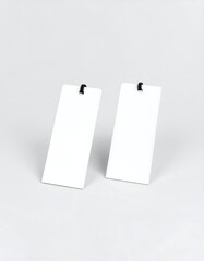 Two blank rectangular tags with black string