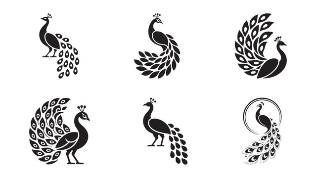 Elegant peacock illustration. vector illustration of peacock set on white background