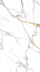 Obraz premium White marble texture with gold and grey veining (1)