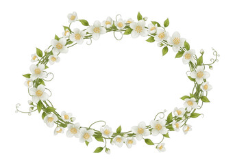 Fototapeta premium White jasmine floral oval frame isolated on transparent background