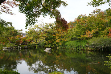 Fototapeta premium 秋の気配が漂う京都の寺院の庭園の風景