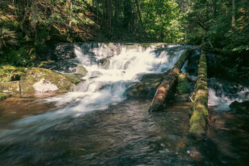 Gentle waterfall flowing over rocks surrounded by lush green forest scenery.