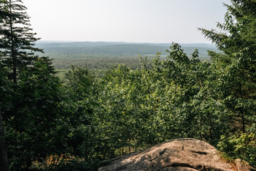 Lush Green Landscape with Rolling Hills Under a Clear Sky in the Distance