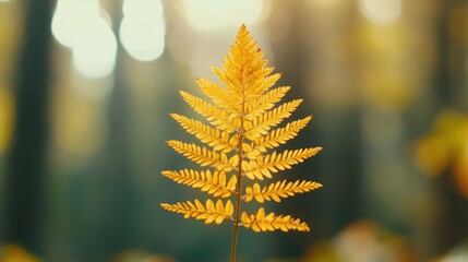 Golden fern frond in autumnal forest, a natural symphony of light and shadow