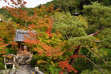 紅葉が始まった京都の寺院の庭園の風景