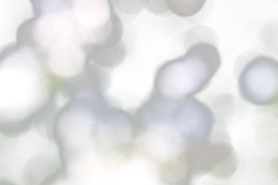 Gray natural bokeh on transparent background in abstract style for graphic design