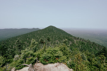 Green Mountain Slope Highlighting Lush Trees and Undulating Terrain