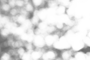 Gray natural bokeh on transparent background in abstract style for graphic design