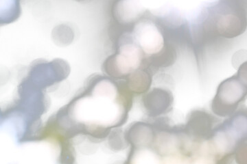 Gray natural bokeh on transparent background in abstract style for graphic design