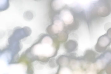 Gray natural bokeh on transparent background in abstract style for graphic design