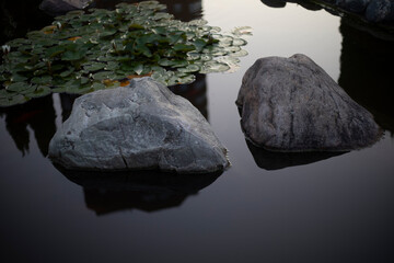 Rocks in the water. Landscape design in the park. Garden decoration.