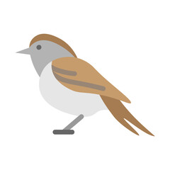 Obraz premium Sparrow Vector Flat Icon Design