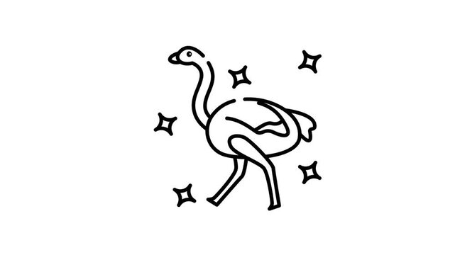 Ostrich icon animation motion graphic design