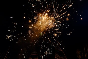 fireworks in the night sky