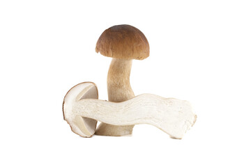 A perfect studio shot showcasing a single porcini mushroom, perfectly cut in half.