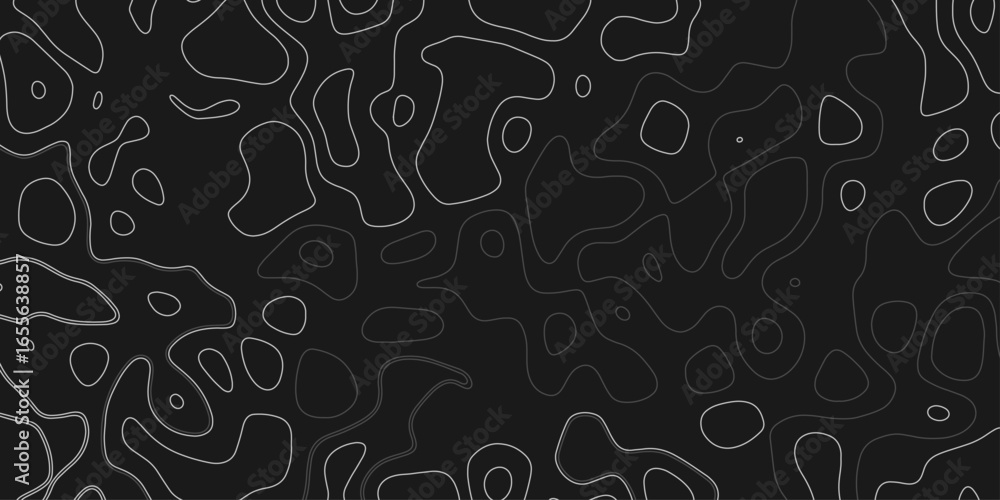 Poster fractal lines background. contour line image.