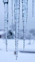 Long Transparent Icicles Hanging from Rooftop Eaves in Winter Snowy Landscape