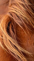 Fototapeta premium Detailed Close Up of a Brown Horse Mane with Golden Highlights in Soft Lighting