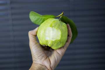 Holding A Green Guava In Hand
