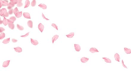 桜の花びらのシームレス背景、春の背景素材