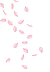 桜の花びらのシームレス背景、春の背景素材