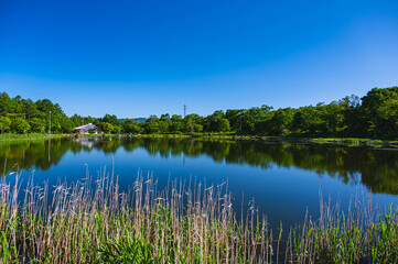 八ヶ岳星空スポット　八ヶ岳ふれあい公園