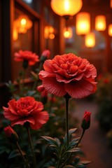 Vibrant Red Peonies Bloom Beneath Warm Lantern Glow