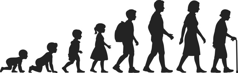 Human life stages silhouette, infancy to old age, growth and development, aging process, educational timeline, vector illustration, biology concept.