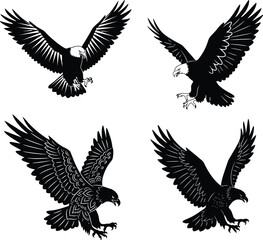 Silhouette and lines of a flying eagle.Vector illustration isolated on white background.