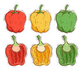 hand draw paprika collection vector illustration