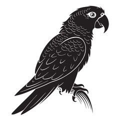 black parrot Silhouette Vector, High Quality Illustration on White Background