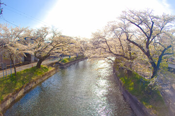 [愛知県]丹羽郡大口町の堀尾跡公園