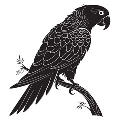 Fototapeta premium black parrot Silhouette Vector, High Quality Illustration on White Background