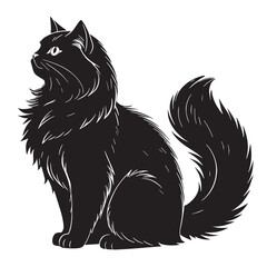 black persiancat Silhouette Vector, High Quality Illustration on White Background