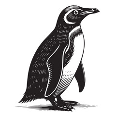 black penguin Silhouette Vector, High Quality Illustration on White Background © Craftdot
