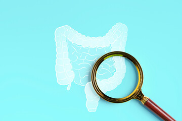 Magnifying glass focusing on human intestine illustration, medical concept of digestion, colon and diagnosis