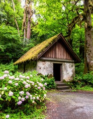Mossy-roofed stone & wood cabin nestled in lush green forest, hydrangeas nearby