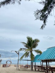 tropical beach with palm trees