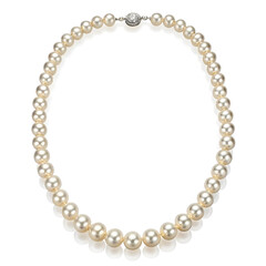 Elegant pearl necklace isolated on white background.