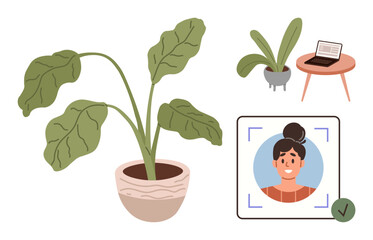 Potted plants with broad leaves, laptop on a desk, and facial recognition screen. Ideal for technology, remote work, security, productivity, ecology nature minimalism. Simple flat metaphor