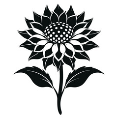  a detailed vector illustration of Xeranthemum Lumina silhouette