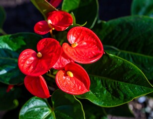 Vibrant red flowers and lush green leaves