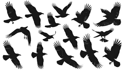 Obraz premium Flying Crows and Ravens Silhouette Set, Minimalist Wildlife Design, Transparent Background PNG
