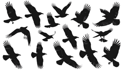 Flying Crows and Ravens Silhouette Set, Minimalist Wildlife Design, Transparent Background PNG