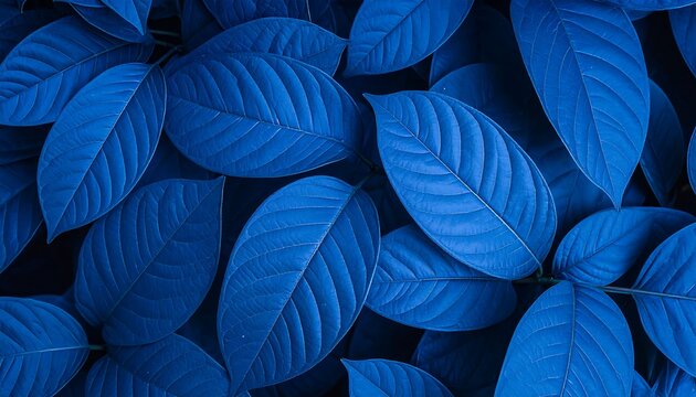 Vibrant blue leaves close-up