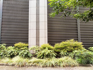 Lush greenery contrasts with modern architectural elements in an urban setting during daylight hours