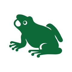 frog on a white background