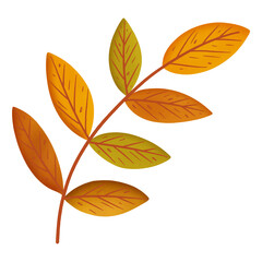 Autumn Hickory Leaves Isolated on Transparent Background