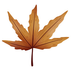 Obraz premium Autumn Maple Leaf Isolated on Transparent Background
