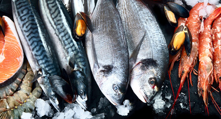 Fish and seafood on black background.